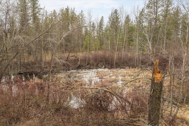 view of local wilderness