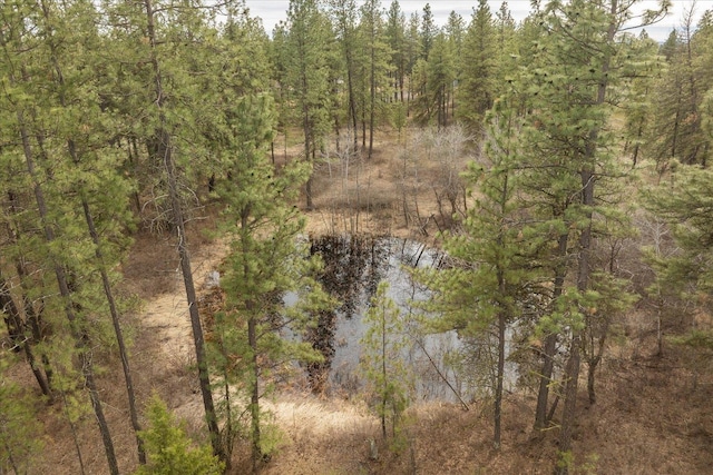 drone / aerial view featuring a forest view