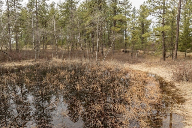 view of nature