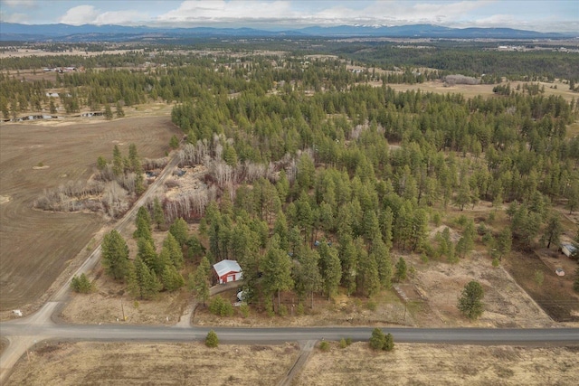 drone / aerial view featuring a mountain view