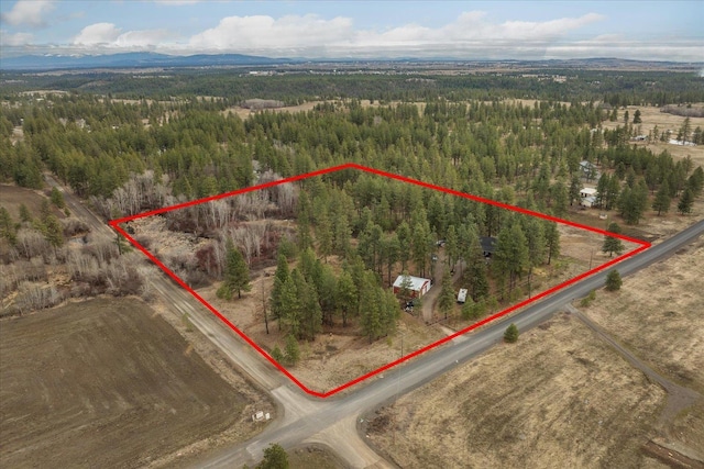 bird's eye view featuring a view of trees and a rural view