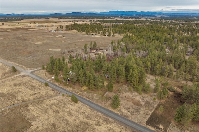 birds eye view of property with a mountain view and a rural view