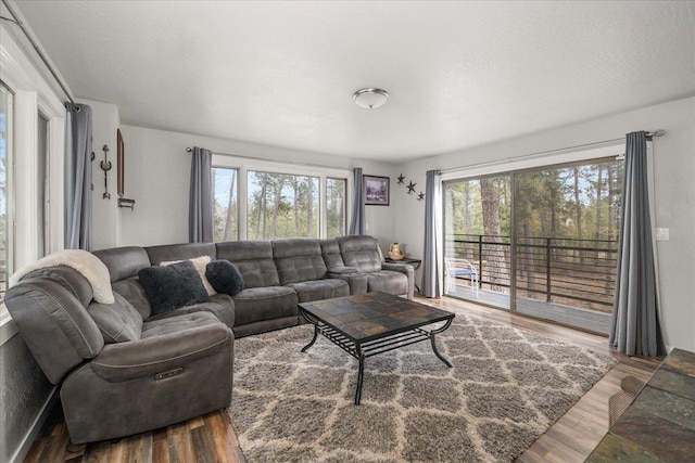 living area with a textured ceiling and wood finished floors