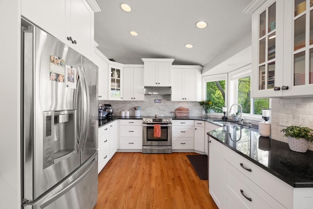 kitchen featuring light wood-style flooring, under cabinet range hood, a sink, backsplash, and stainless steel appliances