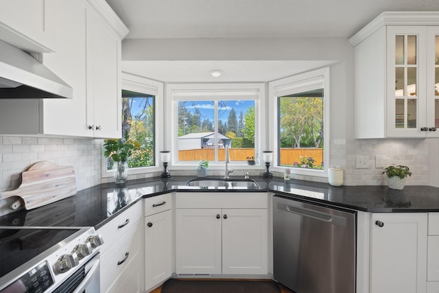 kitchen featuring under cabinet range hood, appliances with stainless steel finishes, plenty of natural light, white cabinets, and a sink