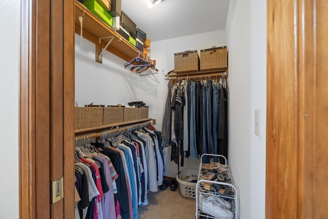 spacious closet with carpet floors