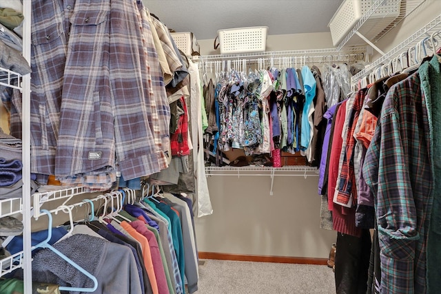 walk in closet with carpet