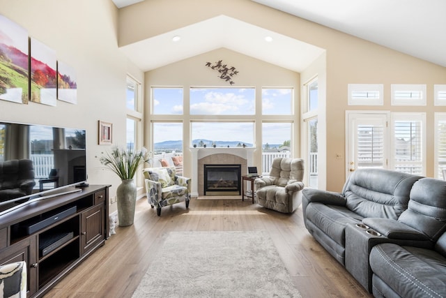 living area with a glass covered fireplace, a healthy amount of sunlight, and light wood-style floors