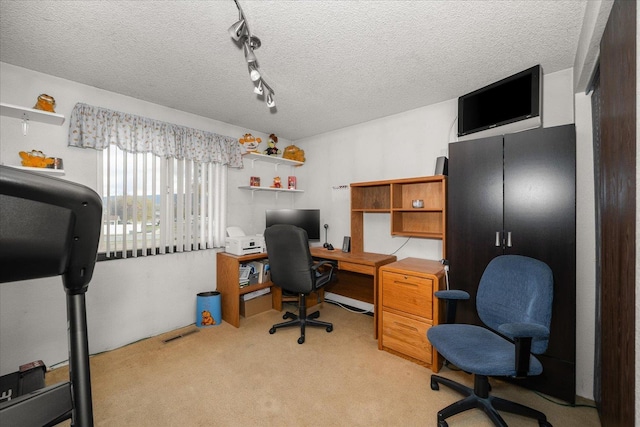 office space featuring light colored carpet and a textured ceiling