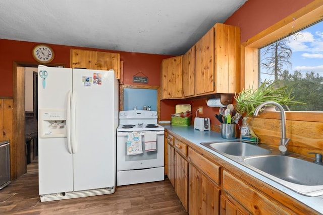 kitchen with white appliances, dark wood finished floors, a sink, light countertops, and brown cabinets