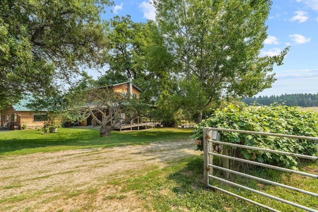 view of yard