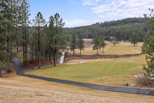 view of home's community with a view of trees and a lawn