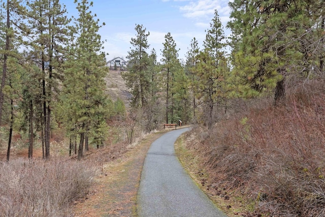 view of street featuring a wooded view