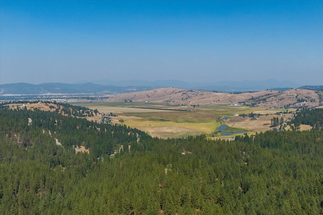 view of mountain feature featuring a view of trees