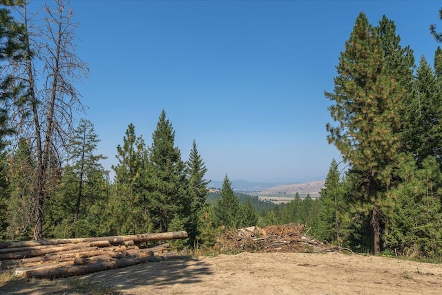 view of mountain feature