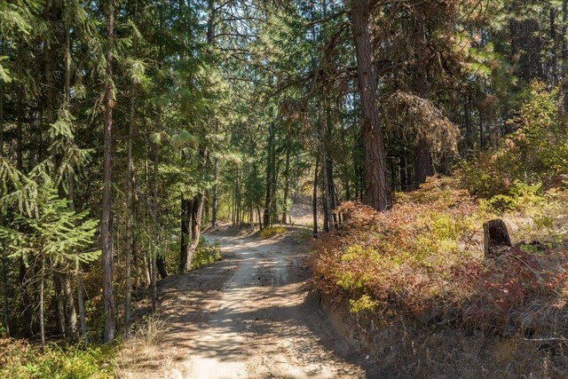 view of road featuring a forest view