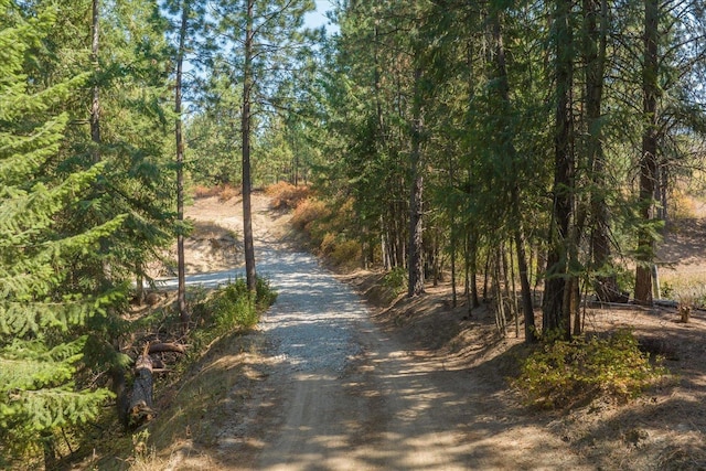 view of road with a view of trees