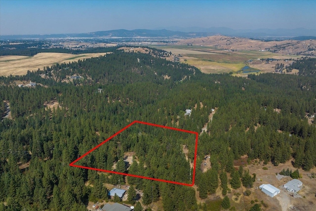 drone / aerial view featuring a mountain view and a wooded view