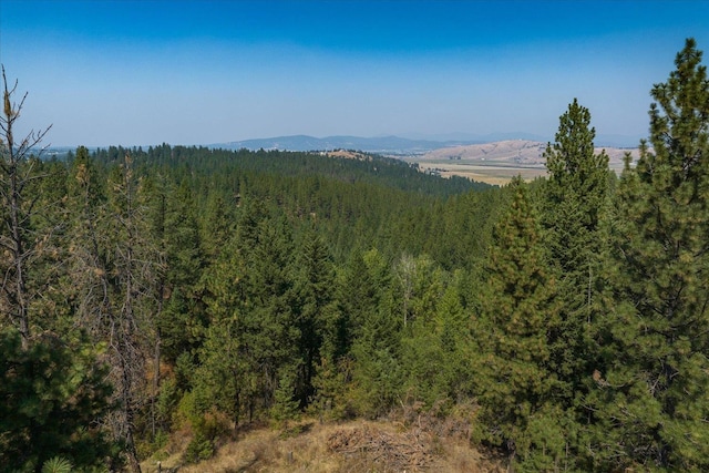 property view of mountains with a forest view