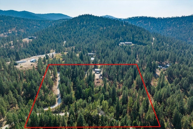 bird's eye view with a mountain view and a forest view