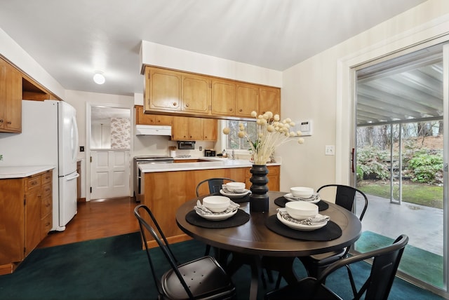 dining room featuring dark wood-type flooring