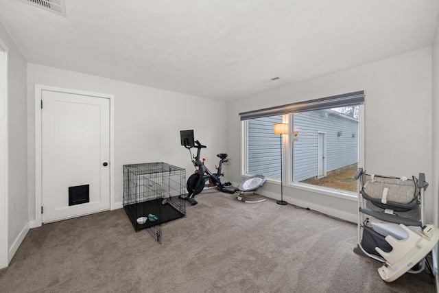 workout area featuring visible vents, plenty of natural light, and carpet floors