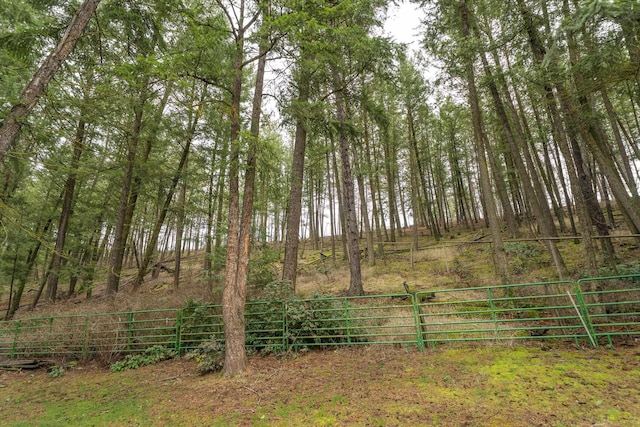 view of yard featuring a gate and fence