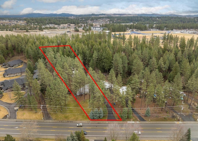 bird's eye view with a wooded view and a mountain view