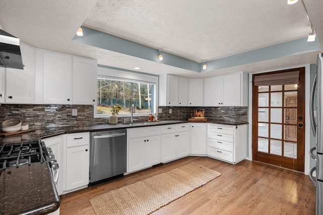 kitchen with light wood-style flooring, a sink, stainless steel dishwasher, wall chimney exhaust hood, and tasteful backsplash