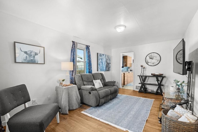 living room with wood finished floors