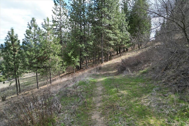 1411 W Toni Rae Dr, Spokane, WA 99218 - photo 2