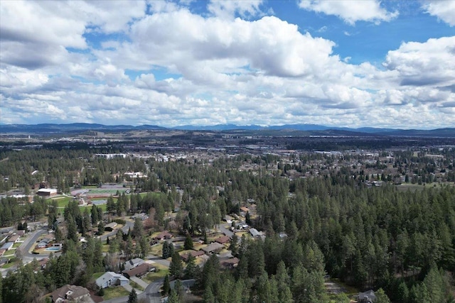1411 W Toni Rae Dr, Spokane, WA 99218 - photo 9