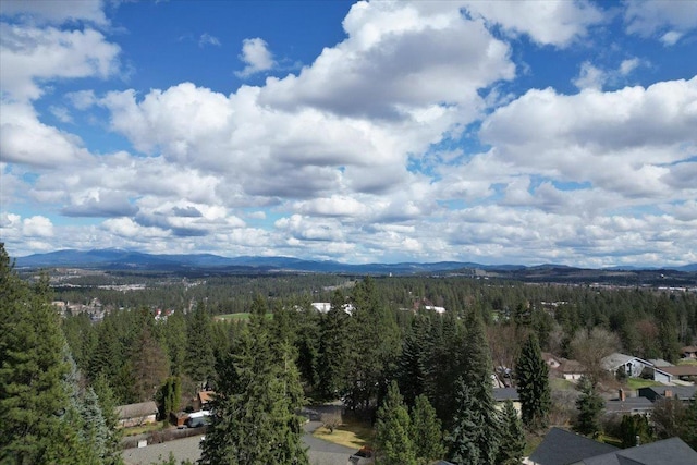 1411 W Toni Rae Dr, Spokane, WA 99218 - photo 10