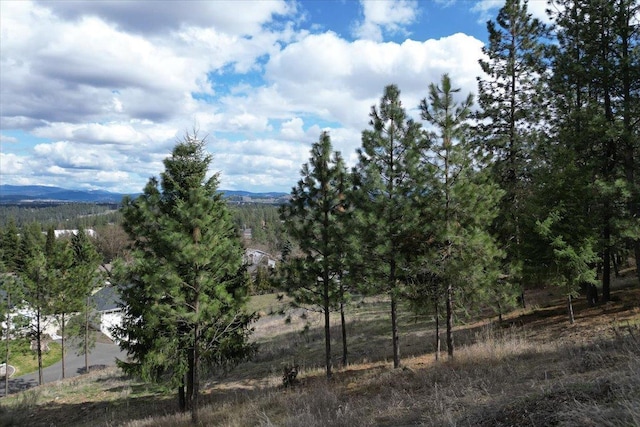 1411 W Toni Rae Dr, Spokane, WA 99218 - photo 3