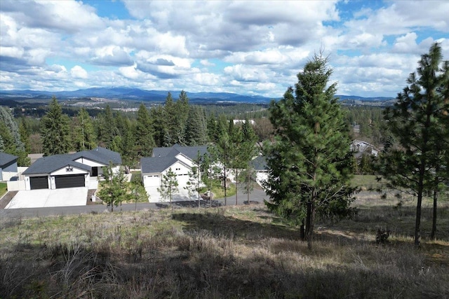 1411 W Toni Rae Dr, Spokane, WA 99218 - photo 4