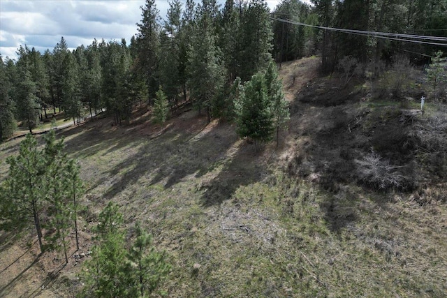 1411 W Toni Rae Dr, Spokane, WA 99218 - photo 6