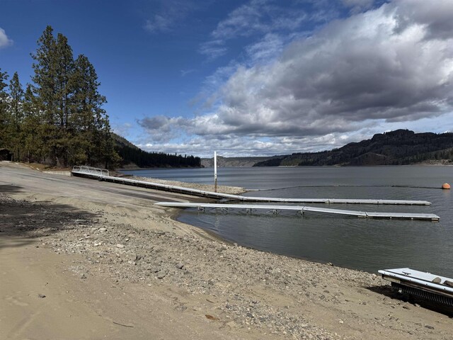 42078 N Porcupine Bay Rd, Davenport, WA 99122