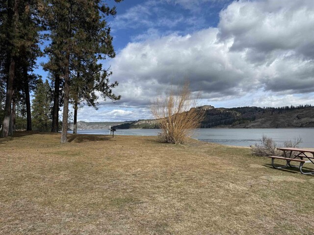 42078 N Porcupine Bay Rd, Davenport, WA 99122