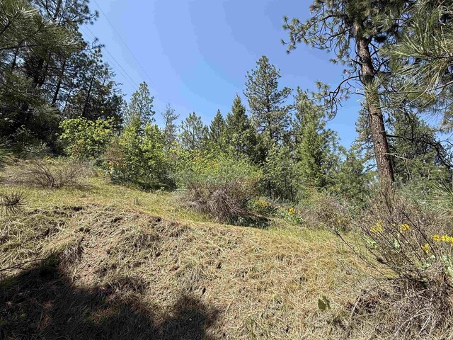 42078 N Porcupine Bay Rd, Davenport, WA 99122 - photo 15