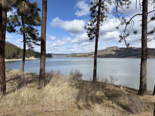 42078 N Porcupine Bay Rd, Davenport, WA 99122