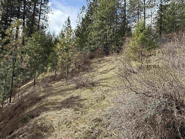 42078 N Porcupine Bay Rd, Davenport, WA 99122