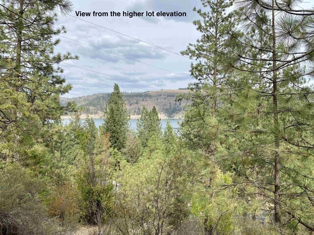 42078 N Porcupine Bay Rd, Davenport, WA 99122