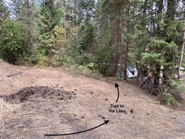42078 N Porcupine Bay Rd, Davenport, WA 99122