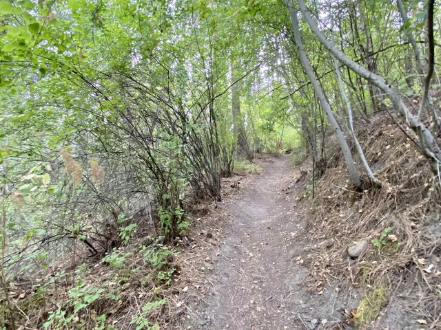 42078 N Porcupine Bay Rd, Davenport, WA 99122