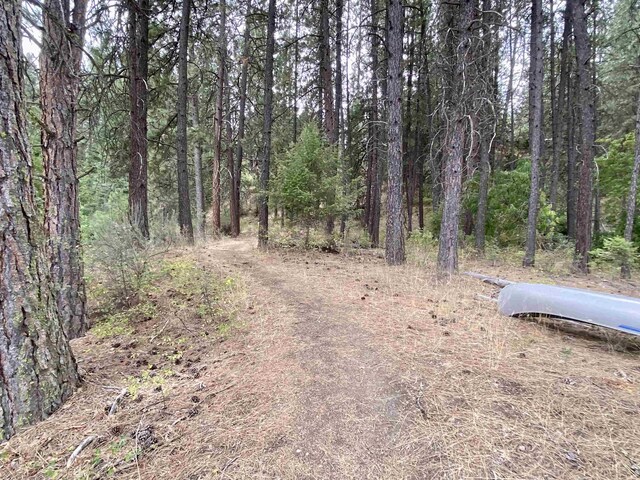 42078 N Porcupine Bay Rd, Davenport, WA 99122