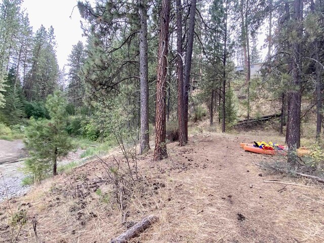 42078 N Porcupine Bay Rd, Davenport, WA 99122