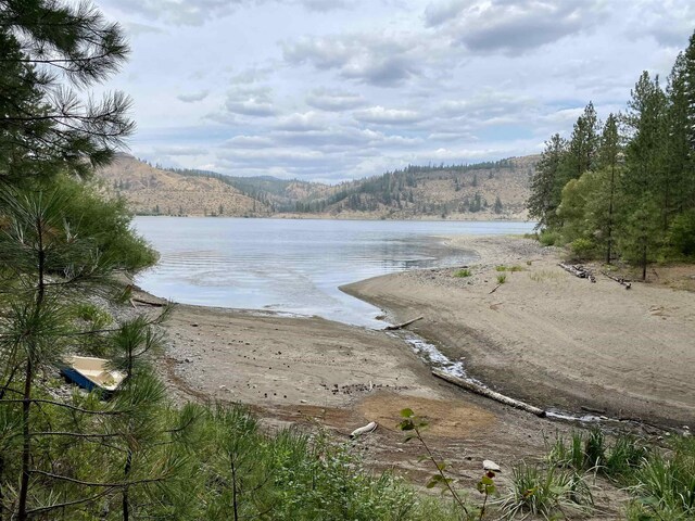 42078 N Porcupine Bay Rd, Davenport, WA 99122
