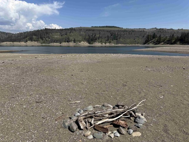 42078 N Porcupine Bay Rd, Davenport, WA 99122