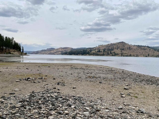 42078 N Porcupine Bay Rd, Davenport, WA 99122
