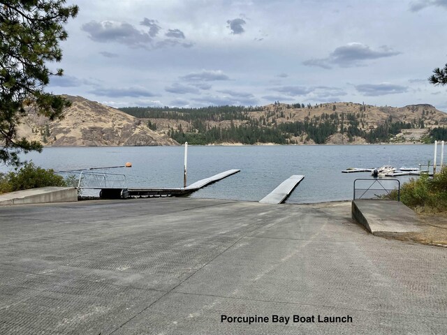 42078 N Porcupine Bay Rd, Davenport, WA 99122